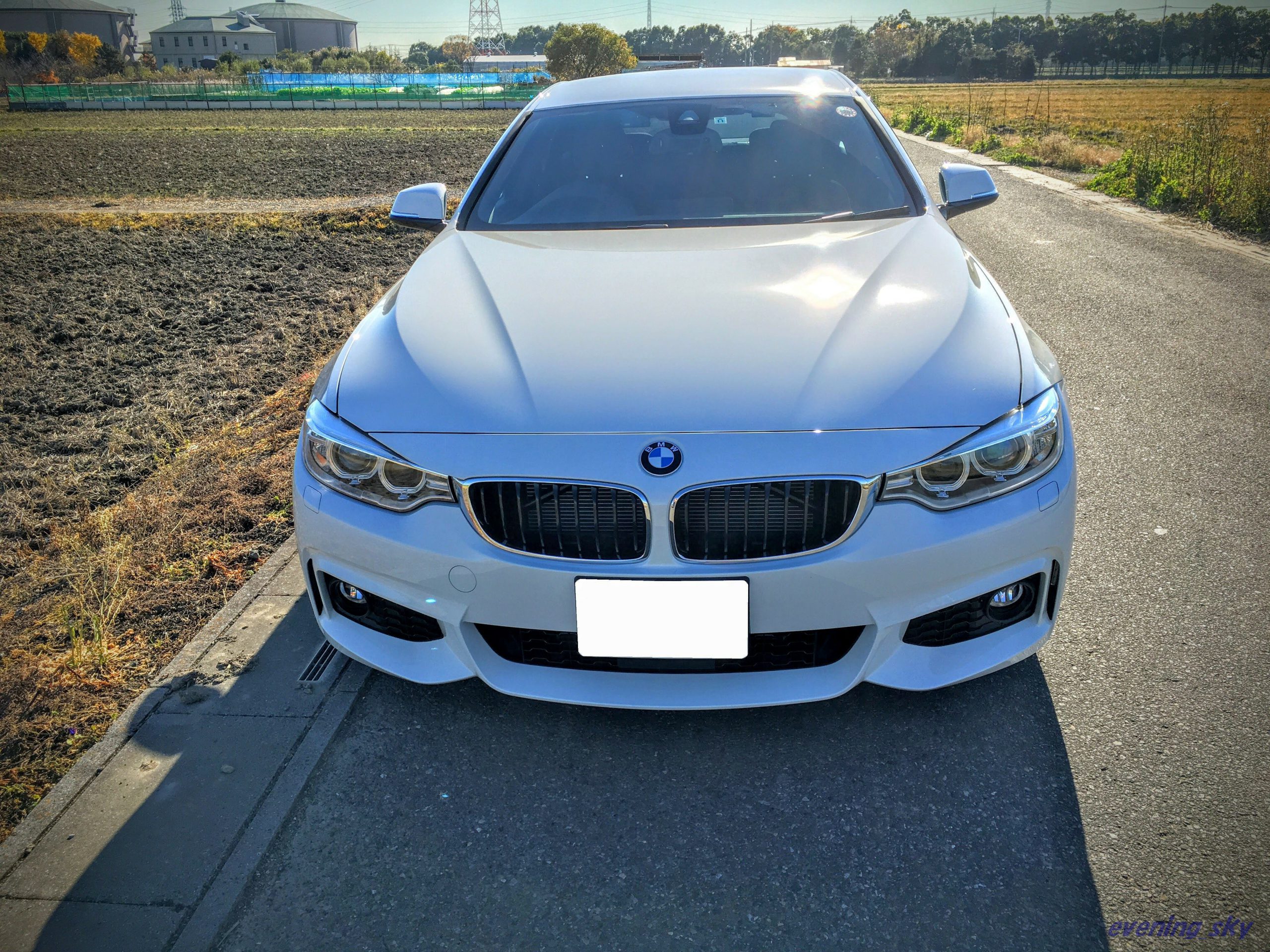 BMWの手動式とボタン式サイドブレーキ（パーキングブレーキ）について【BMW４シリーズグランクーペ】