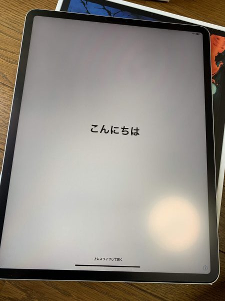 iPad Pro12.9 MTFN2J/A