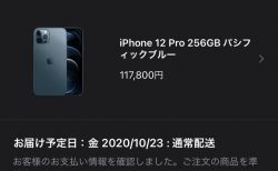 AppleStoreで「iPhone12pro」パシフィックブルー256GB(SIMフリー)を予約完了しました＾＾格安SIMのiijmioで使えるかは不明ですが(^_^;)